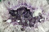 Purple Amethyst Geode - Artigas, Uruguay #151282-1